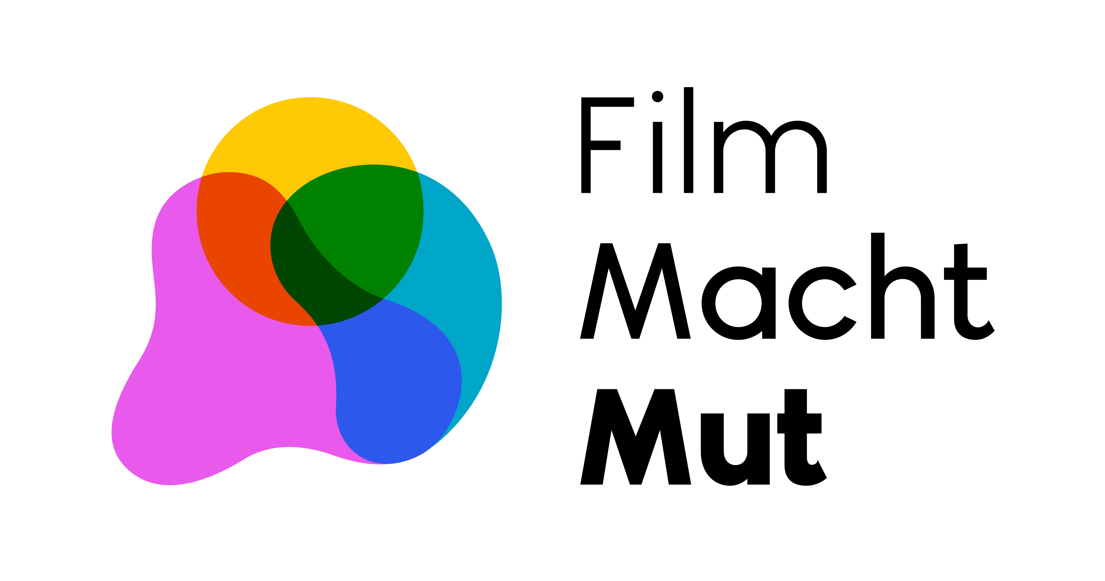 FMM_logo.jpg